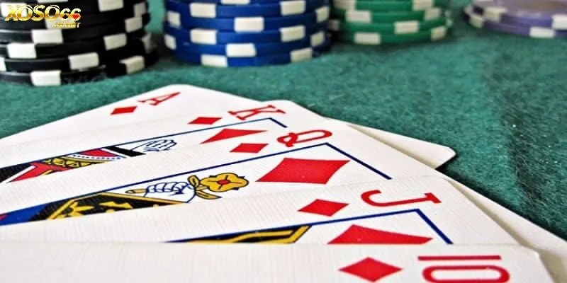 Việc nắm rõ các nhóm này sẽ giúp bạn dễ dàng làm quen với các phiên bản khác nhau 